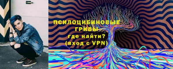 спиды Болотное