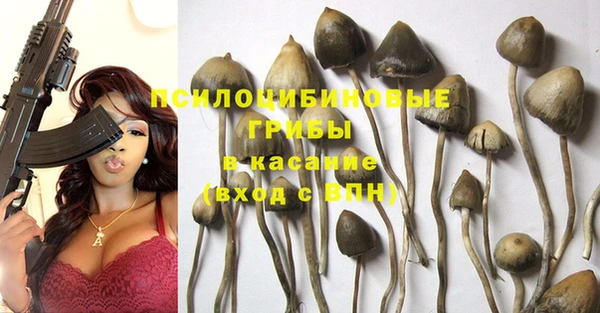 дурь Балабаново