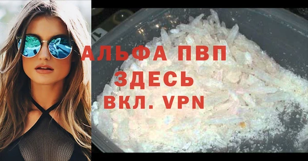 твердый Пересвет