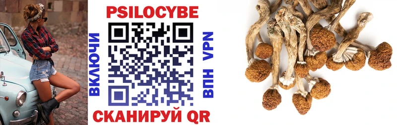 где найти   Северо-Курильск  Галлюциногенные грибы Psilocybe 